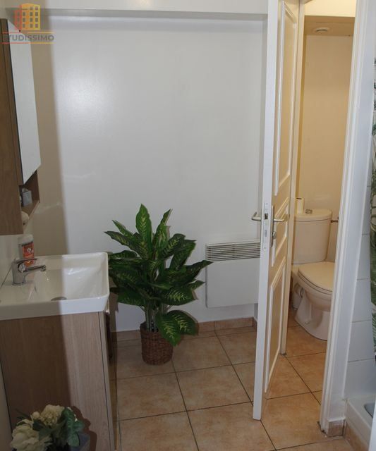 F1 31m² Mantes-la-Jolie centre - Charmant - Photo 2