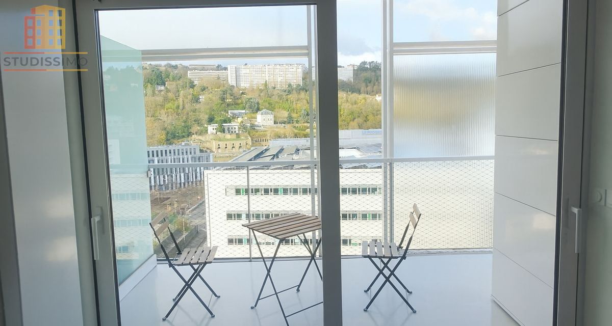 T1 37m² Lyon 2e Confluence - Terrasse, vue Saône/Fourvière - Photo 2