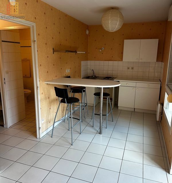 Studio 30m² Lyon 3e - Emplacement rare - Photo 6