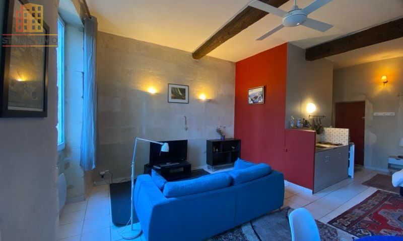 Studio 32m² Tarascon centre-ville - Lumineux - Photo 1