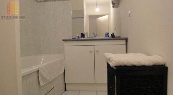 T1 25m² Toulouse - Lumineux - Photo 2