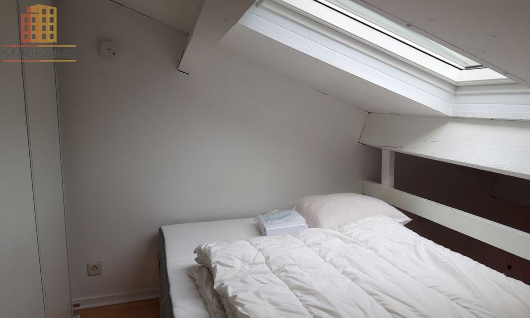 T1 bis duplex 20m² Toulouse 31500 - Photo 1