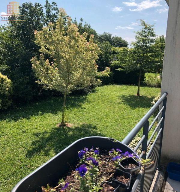 Appartement 26m² Aucamville - 1er étage - Photo 1