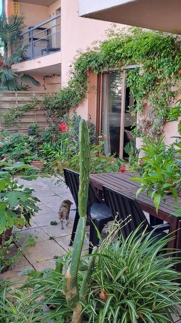 T2 46m² Toulouse 31500 - Coup de coeur, charmant - Photo 4