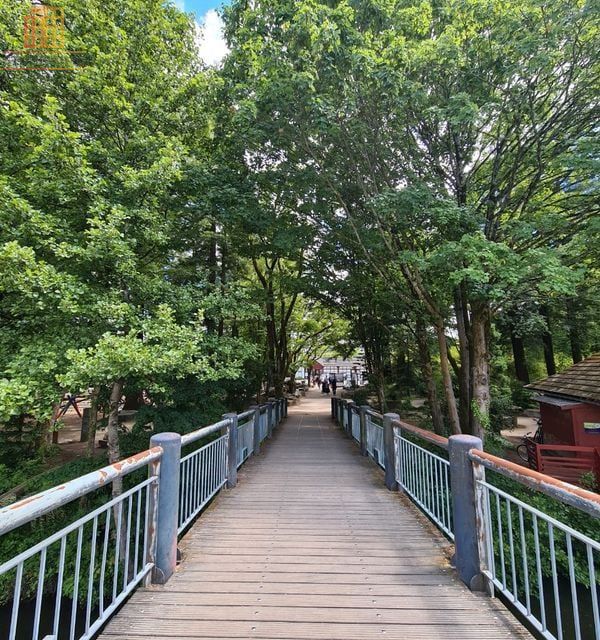 T1 bis 30m² Nantes - Rooftop, vue panoramique - Photo 5