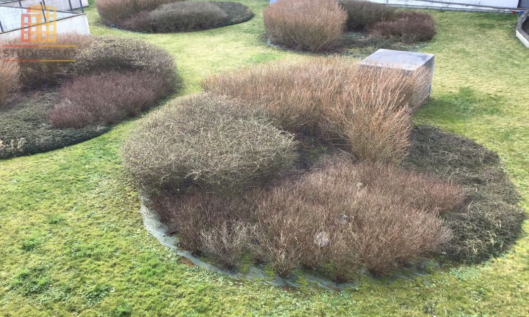 T1 36m² Villeneuve-d'Ascq - Photo 11