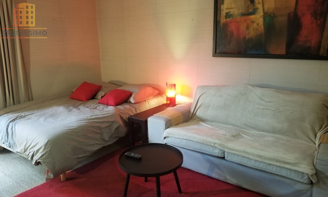 Studio 26m² Rennes centre - Terrasse - Photo 12