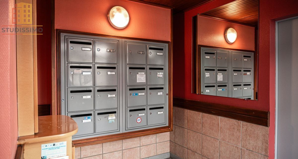 Appartement 26m² Grenoble 38100 - Refait à neuf, vue montagnes - Photo 1