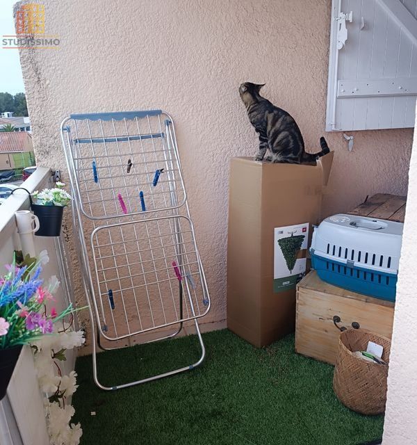 Studio 31m² Six-Fours-les-Plages centre - Lumineux, balcon - Photo 2