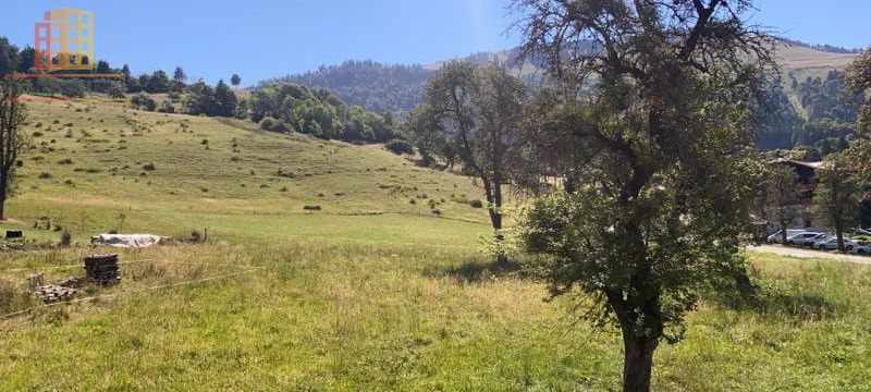 Studio 17m² Habère-Poche - Exposition plein sud - Photo 1