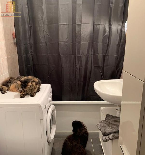 Studio 28m² Saint-Julien-en-Genevois - Photo 2