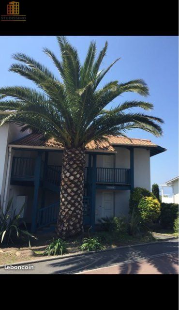 Appartement 25m² Biarritz - Vue mer océan - Photo 8