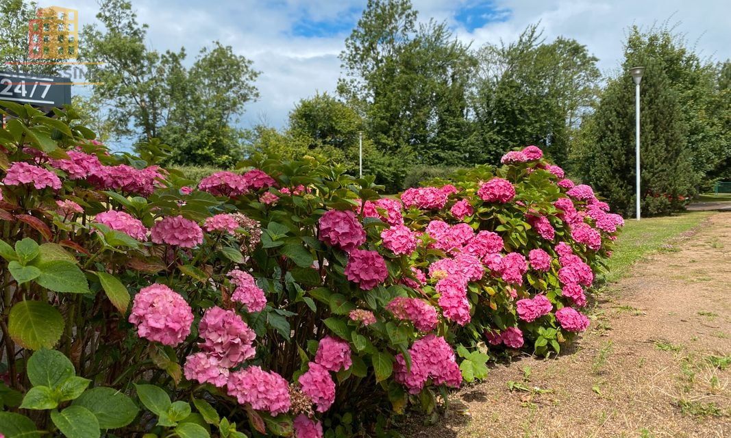 Appartement 21m² Équemauville - Cosy - Photo 1